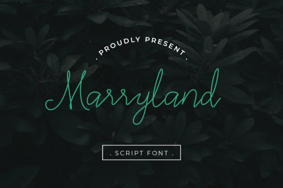 Discover the Elegance of Marryland: A Perfect Script Font for Crafters