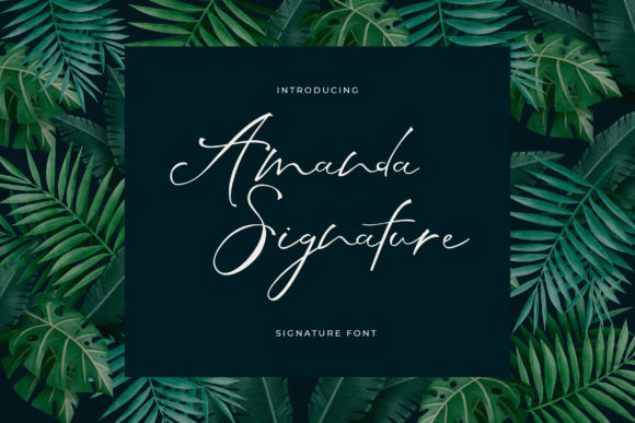 Elevate Your Editorial Design with Amanda Signature Font