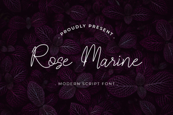 Enhance Your Editorial Design with Rose Marine Font